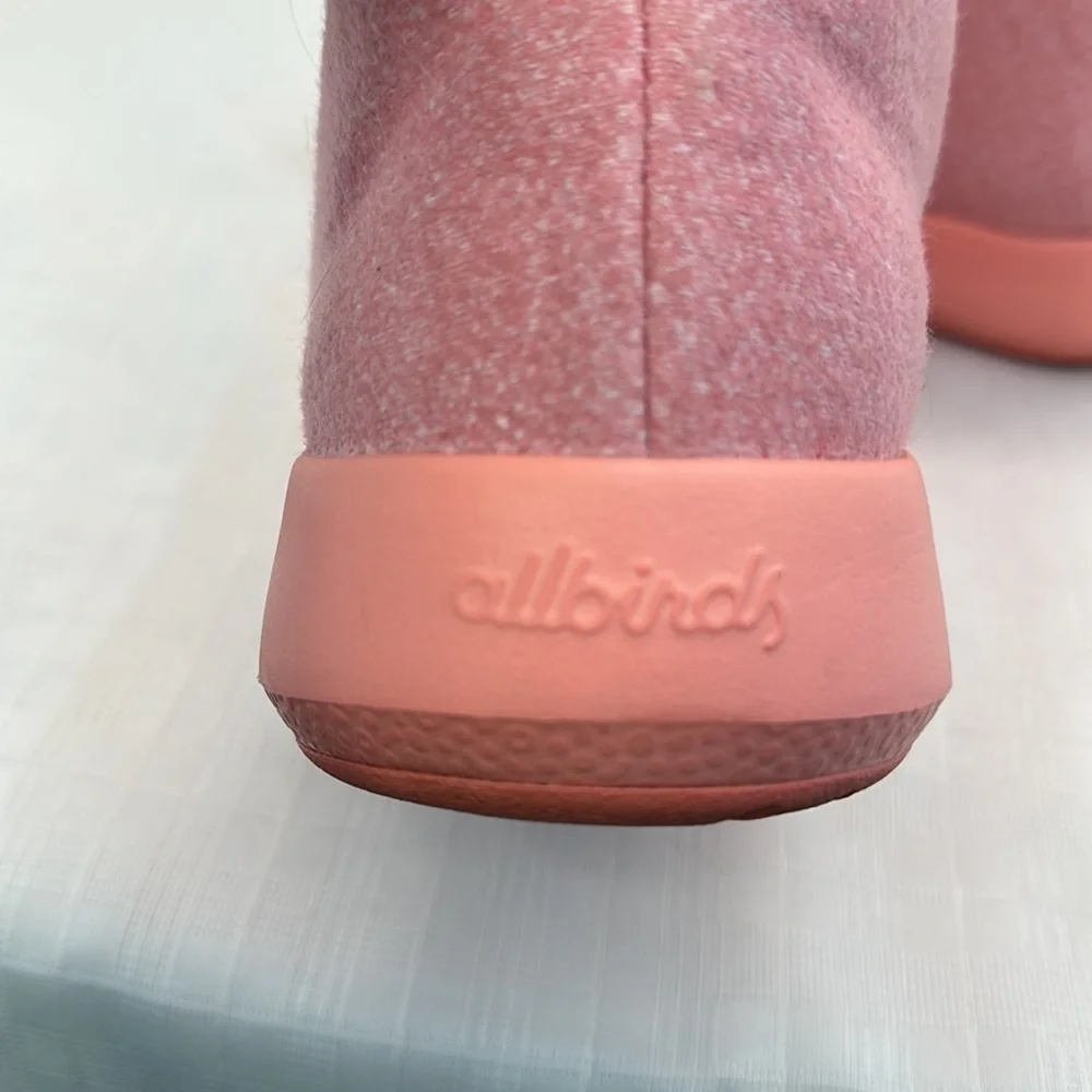 allbirds our wet